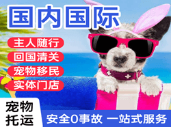 大同云冈航空货运国际宠物托运 【国
